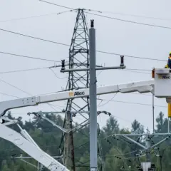 Pracownicy PGE w koszach podnośników naprawiają linię energetyczną, usuwając skutki awarii prądu.