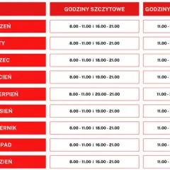 Jaką taryfę prądu wybrać, by zaoszczędzić na rachunkach?