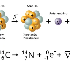 Rozpad węgla-14 w azot-14 poprzez **promieniowanie beta minus**, emitując elektron i antyneutrino.