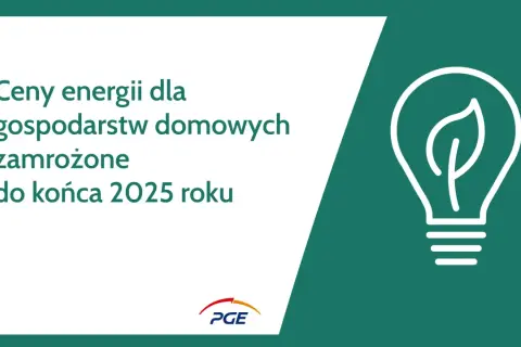 Grafika z żarówką i liściem, tekst: Ceny energii dla gospodarstw domowych zamrożone do końca 2025 roku.
