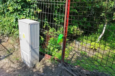 Jaka odległość skrzynki elektrycznej od granicy działki? Uniknij problemów!