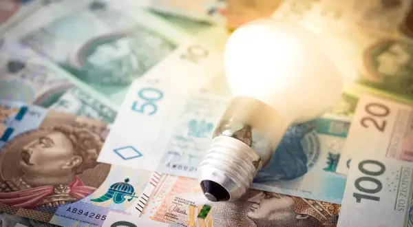 Żarówka na stosie polskich banknotów symbolizuje koszty energii, np. taryfa G11 Tauron.