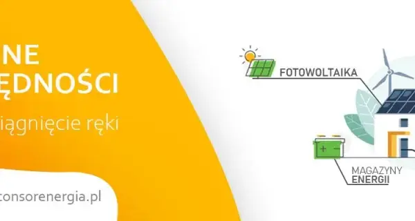 Elektrownia wiatrowa czy fotowoltaika – co wybrać dla oszczędności?