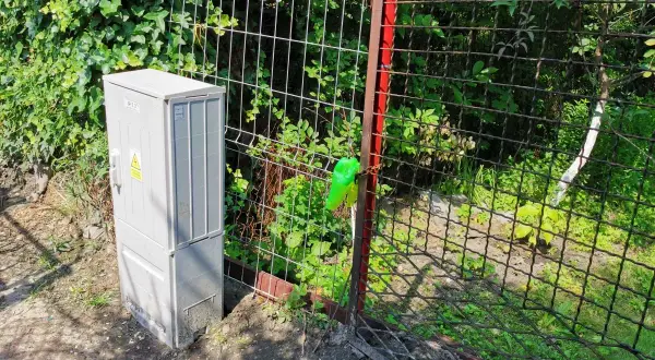 Jaka odległość skrzynki elektrycznej od granicy działki? Uniknij problemów!