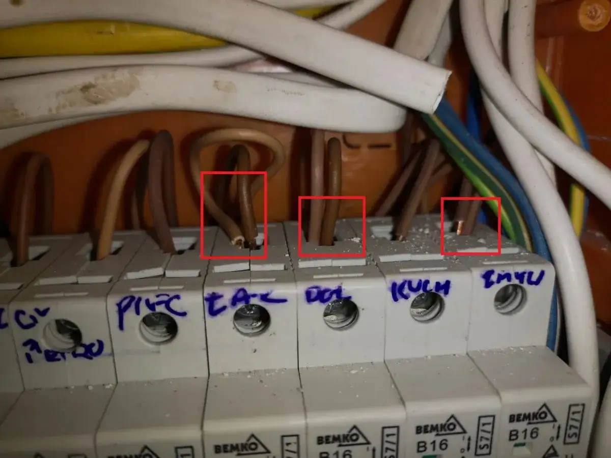Przewody elektryczne podłączone do bezpieczników, jeden z nich to bezpiecznik B16. Widać przygotowane do podłączenia końcówki przewodów.