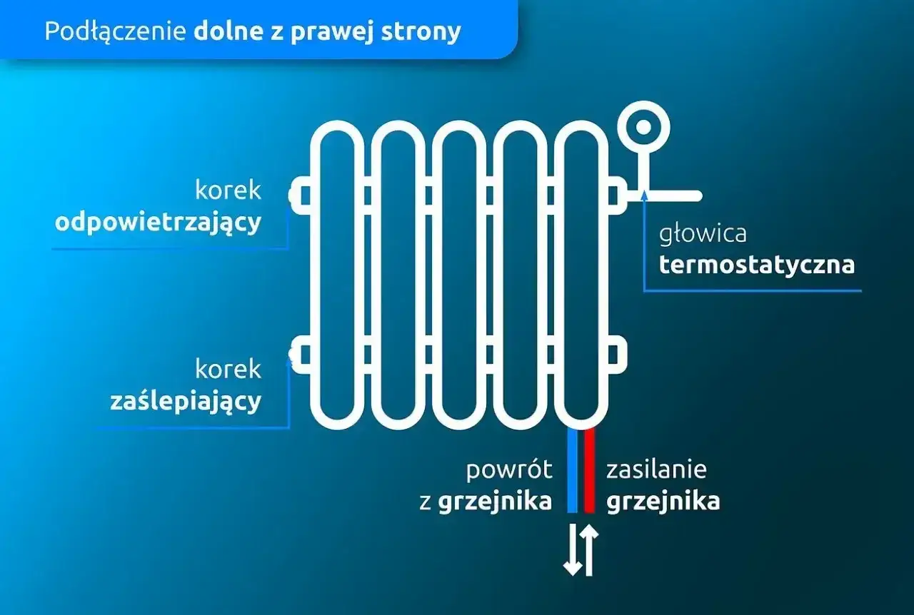 Schemat podłączenia grzejnika od dołu z prawej strony: głowica termostatyczna, korek odpowietrzający, korek zaślepiający, zasilanie i powrót.