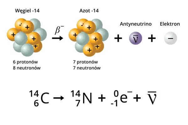 Rozpad węgla-14 w azot-14 poprzez **promieniowanie beta minus**, emitując elektron i antyneutrino.